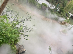 喷雾造景